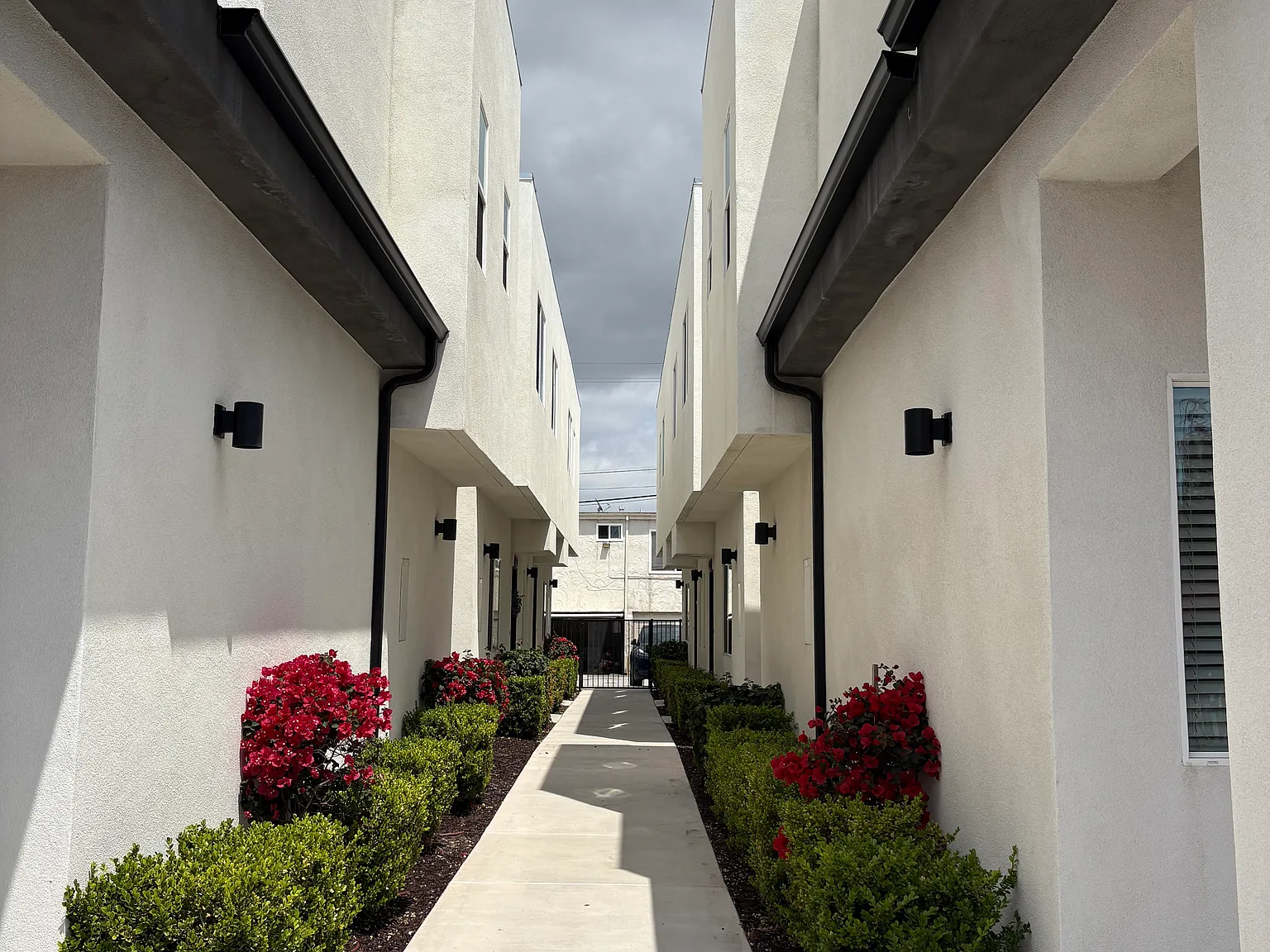 2 bed, 1.5 bath, 825 sqft, $2,895 — Photo 2