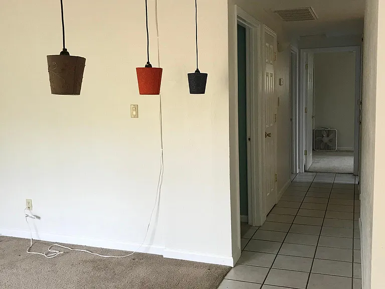 Living room and hall