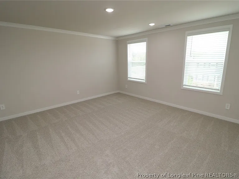 4121 Hazel Branch Way — Photo 19