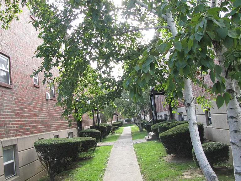 Willows — Photo 10