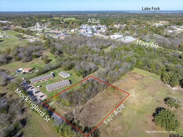 E Mockingbird St, Alba, TX 75410