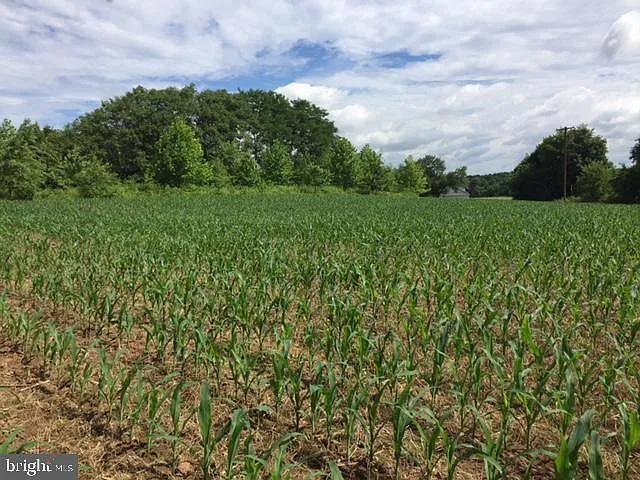 Kump Station Rd photo 1