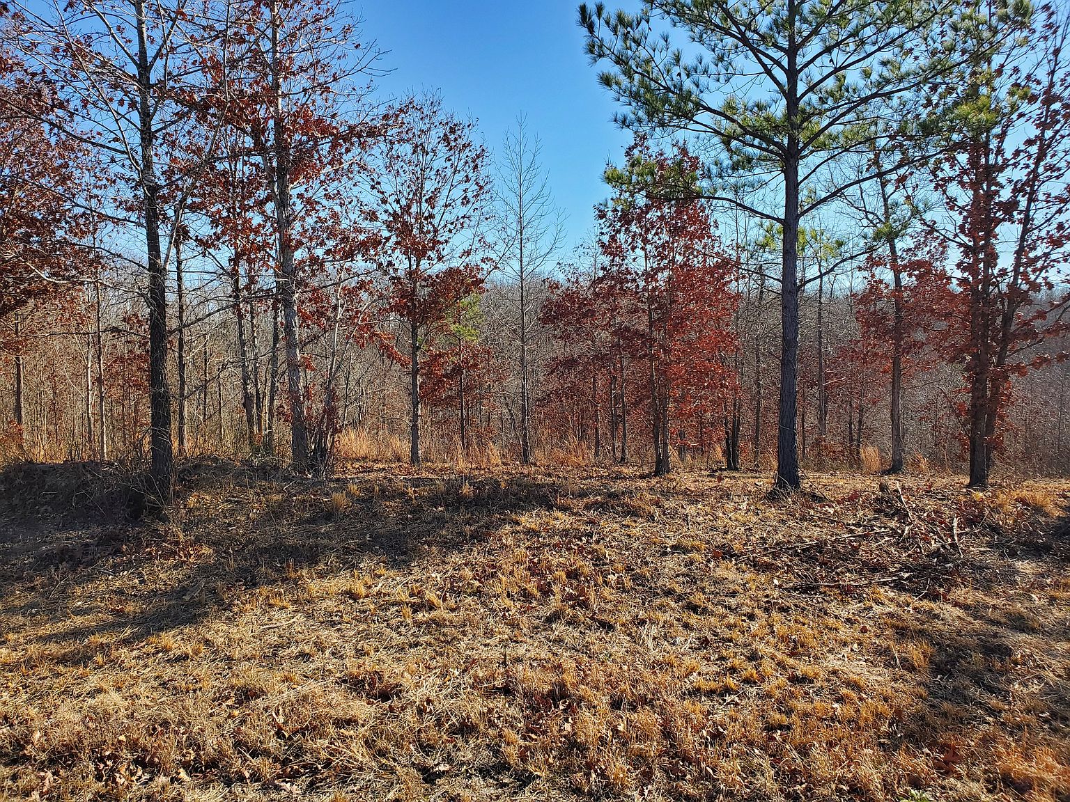 1505 Bear Hollow Rd LOT 134, Waverly, TN 37185 MLS 2610727 Zillow