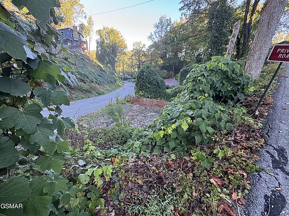4th image of 235 Silverbell Ln