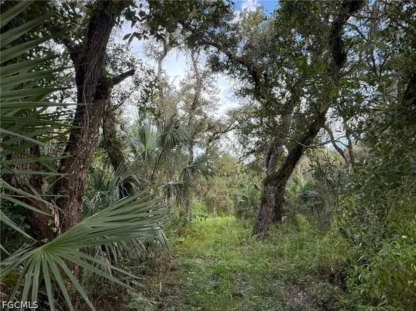 43026 L28 Canal Rd, Immokalee, FL 34142