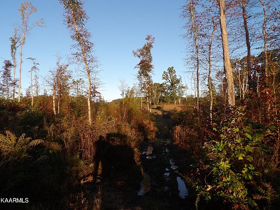 4th image of Wassom Memorial Hwy