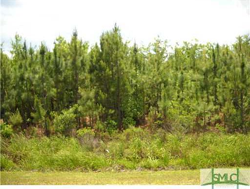 1st image of 314 Ac Manning Drive