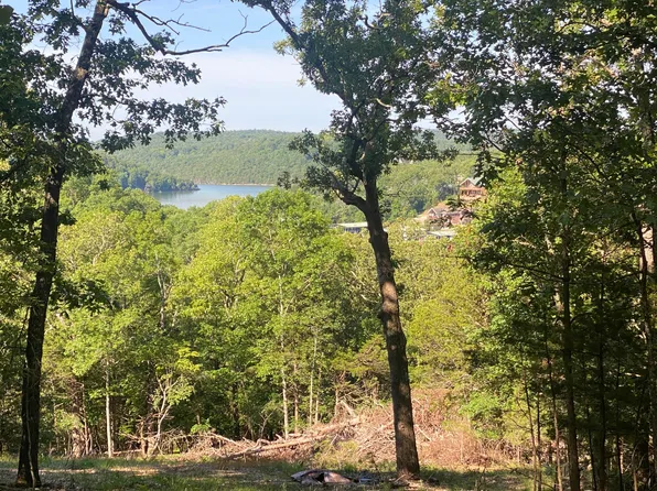 000 Que Cove Drive, Theodosia, MO 65761