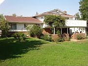 Beautiful yard bordered with roses, clematis, rose of Sharon and more
