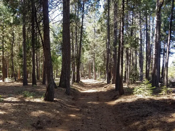 LOT 1 Eckert Ln, Shingletown, CA 96088