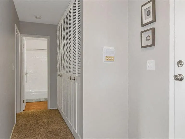 ReNew Aurora — Photo 20