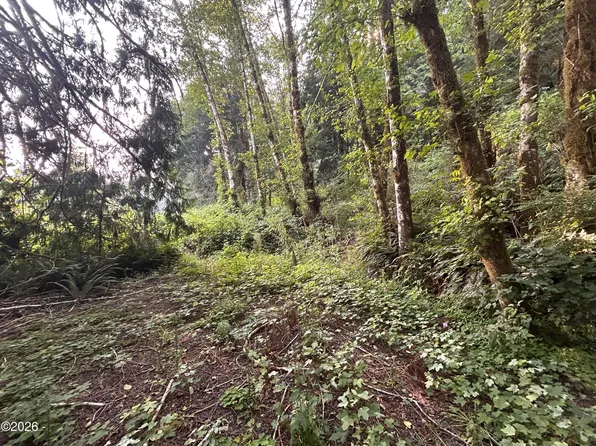 1300 W Point Dr, Nehalem, OR 97131