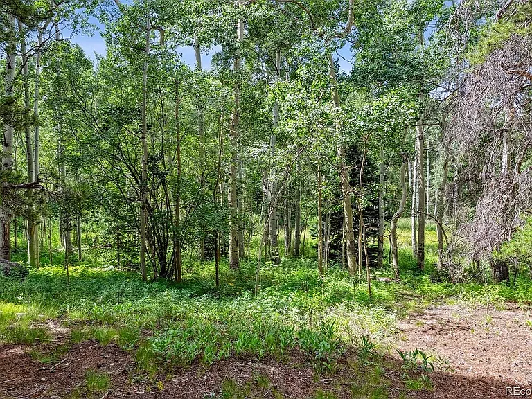 306 Olde Carter Lake Rd — Photo 14
