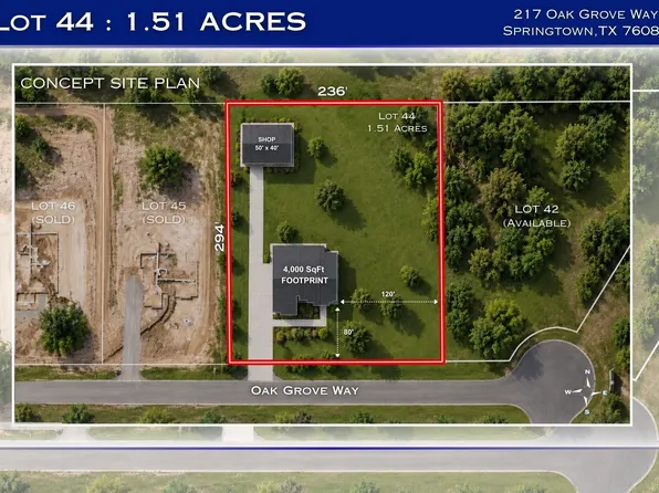 217 Oak St, Springtown, TX 76082