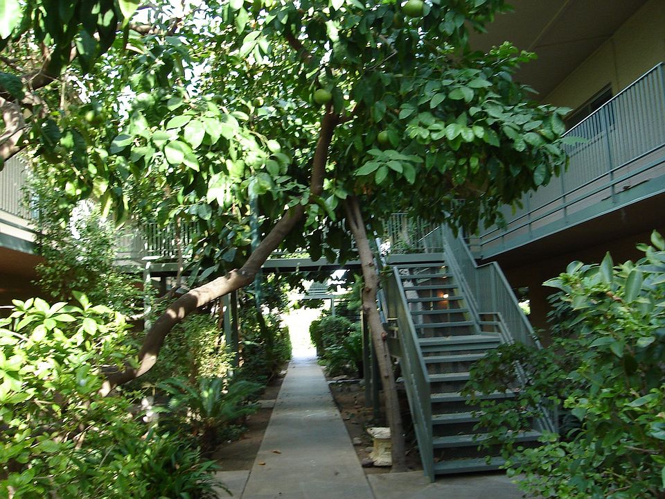 LUSH landscaping-a hidden treasure in Downtown PHX!