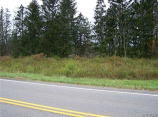 3 Acres Center St, Colden, NY 14033