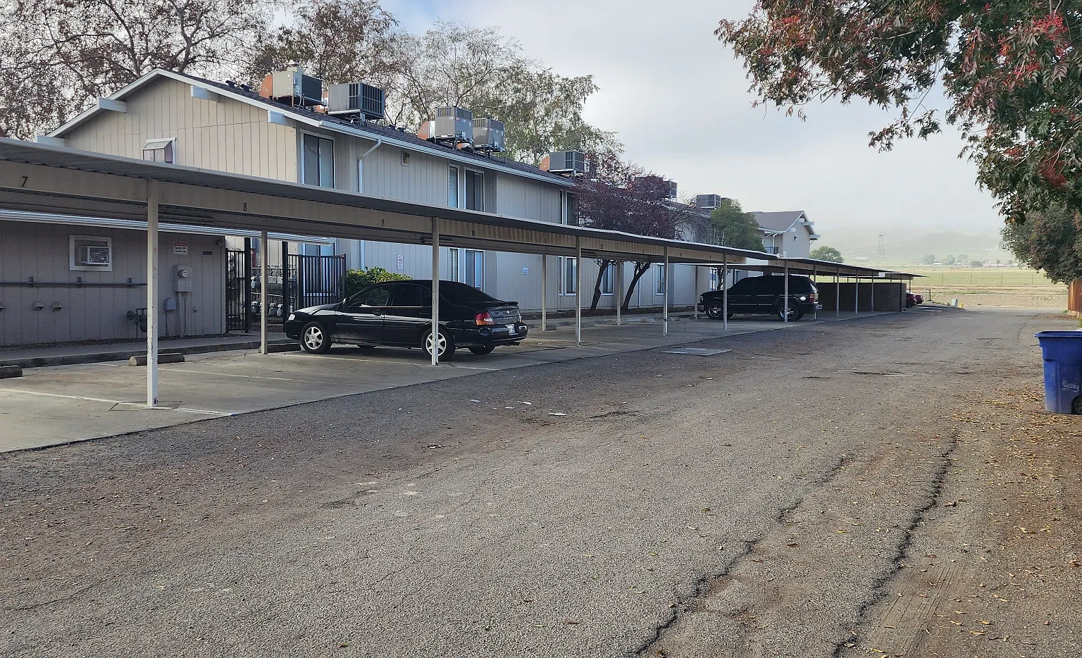 Elm Tree Estates Apartments — Photo 3