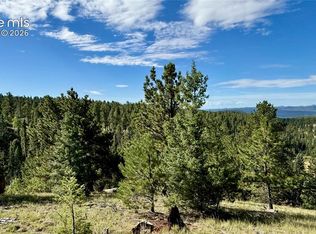 196 Beaver Creek Cir, Florissant, CO 80816