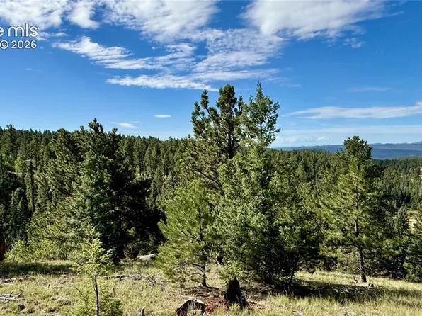 196 Beaver Creek Cir, Florissant, CO 80816