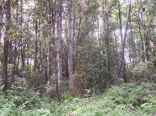 Maui Rd LOT 447, Pahoa, HI 96778