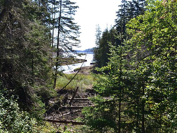 4th image of Lot 1 Foster Lane