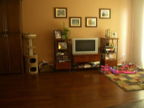 Living Room (view 2)