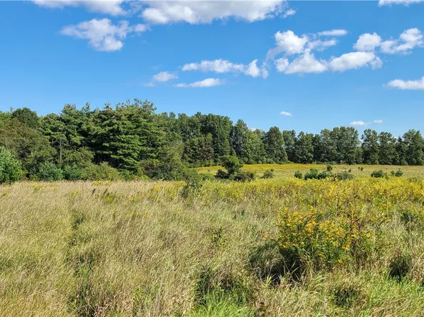 0 Thomas Rd, Newfield, NY 14867