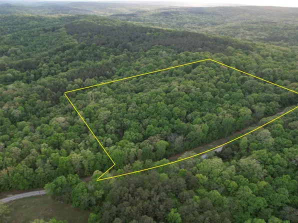 0 New Hope Ln, Herod, IL 62947