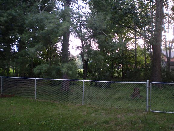Back yard