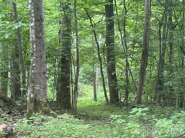 1st image of 0 Sugar Loaf Mountain Rd