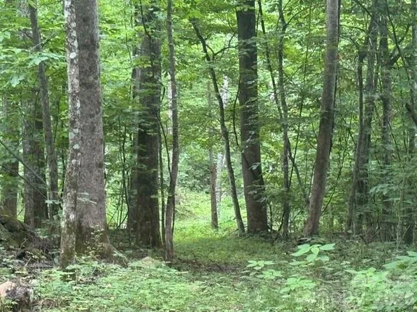 0 Sugar Loaf Mountain Rd, Marshall, NC 28753
