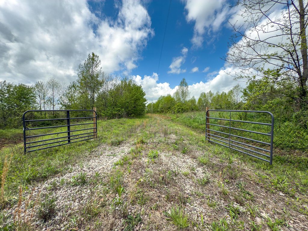 Real estate listing image
