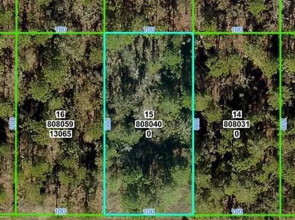 13075 Tinamou Ave, Brooksville, FL 34614