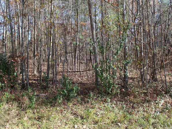 0 Backstrom Hts, Eddyville, KY 42038