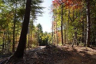 1st image of 1167 Towee Pike #I