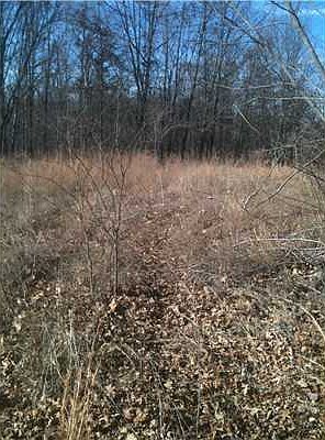 2nd image of Hazel Valley Rd