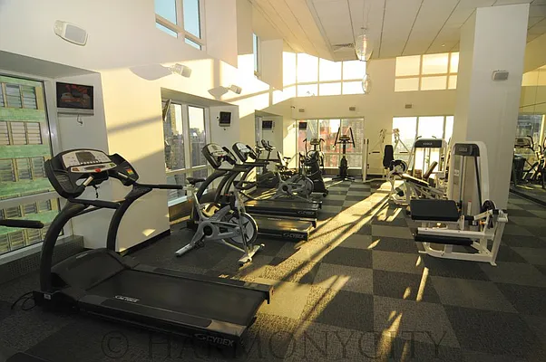Rented by Harmonycity Corp. | media 31