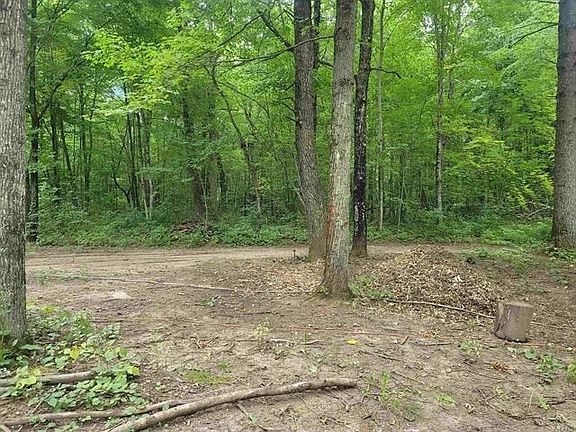 4th image of W2430 Bent Tree Path