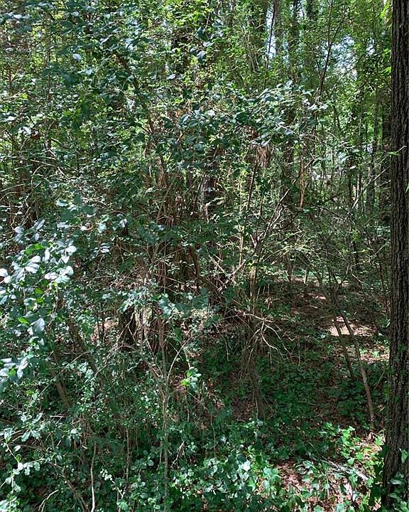 2nd image of 1539 Lavista Dr Lot 148