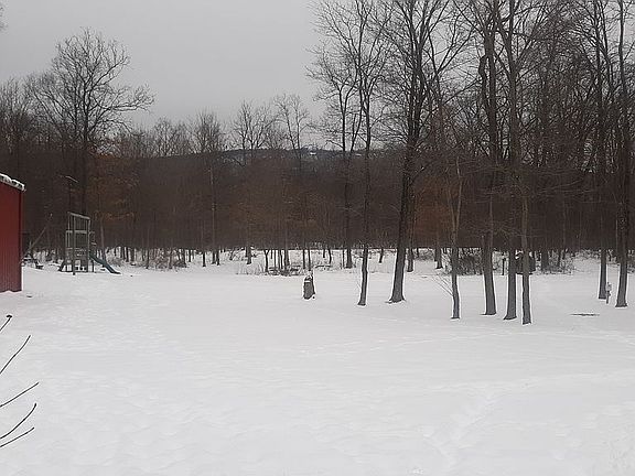 Private back yard