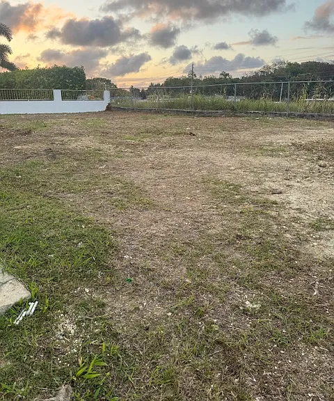 3 Bo Asomante — Photo 17