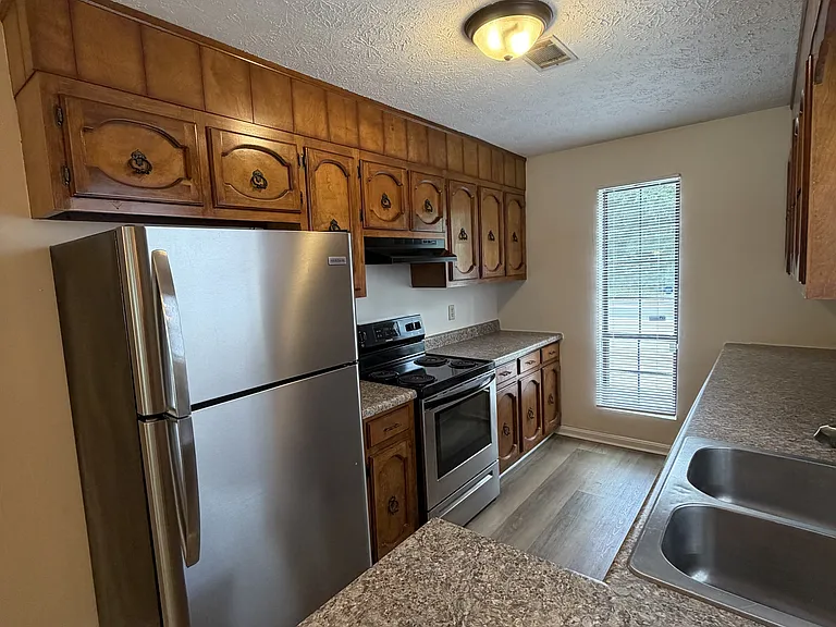 311 Leisure Lake Dr — Photo 4