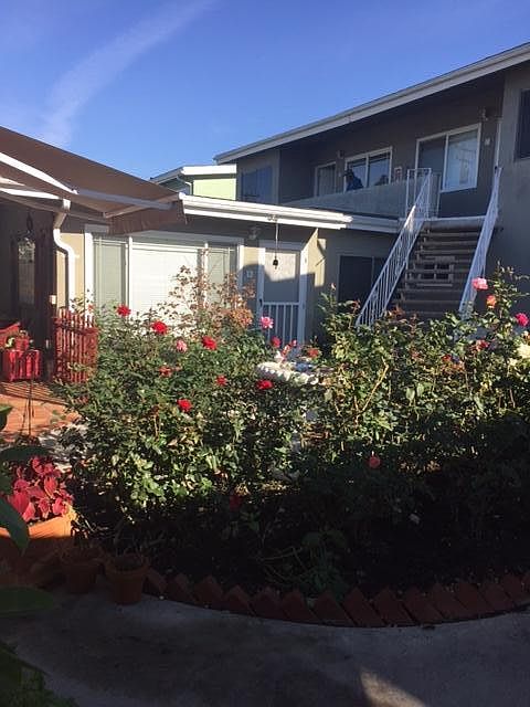 Beautiful Rose Garden and Courtyard