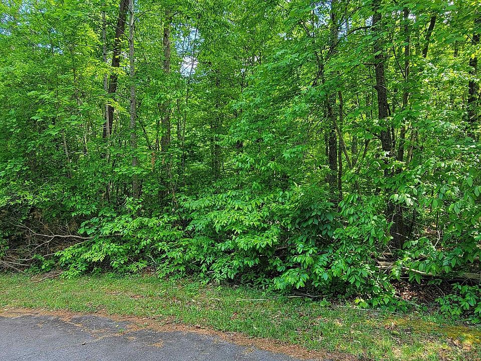 1st image of 0 Lynden Loop