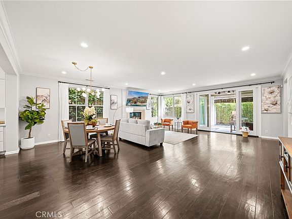 5th image of 21 Fanpalm