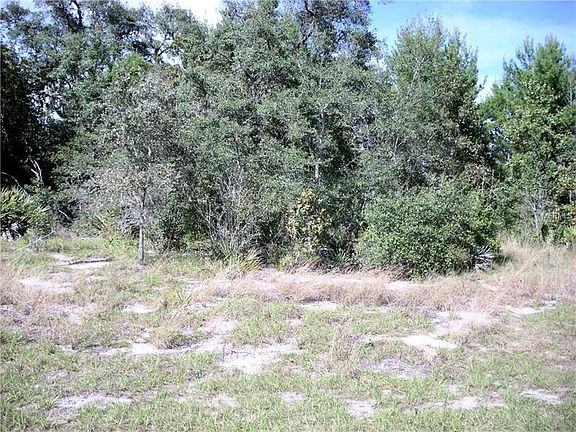 4th image of 9 Zinnia Ln E