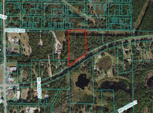 E Highway 316, Fort Mc Coy, FL 32134