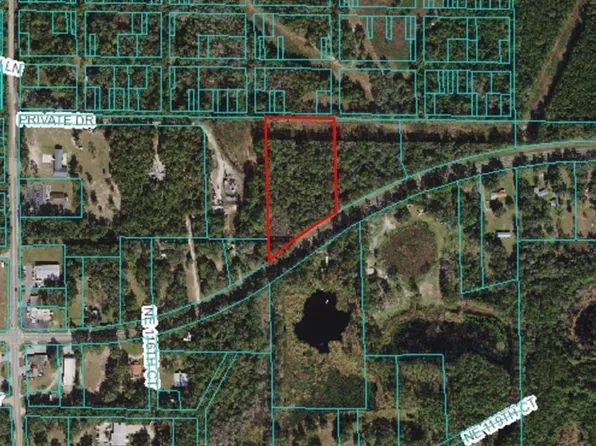 E Highway 316, Fort Mc Coy, FL 32134