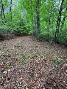 0 Willow Pond Rd, Franklin, NC, 28734