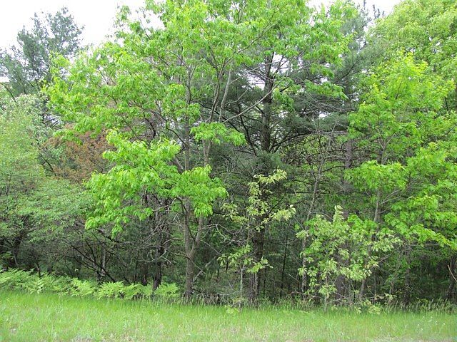 2nd image of 275 Ac County Rd #O